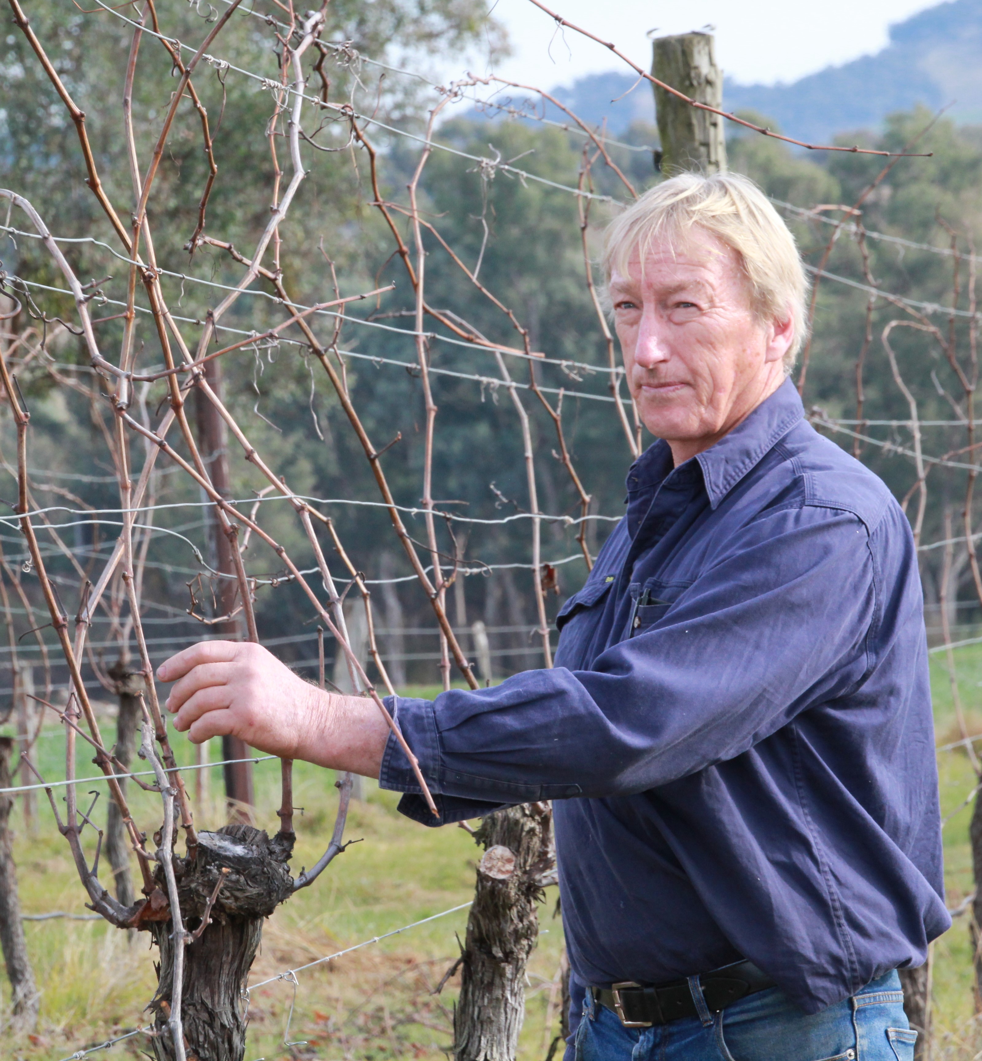 Bob from Bush Track Wines Whorouly Alpine Valleys 
